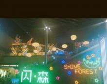 闪・森 Shine Forest1