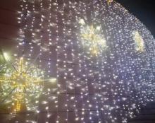 闪・森 Shine Forest2