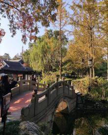莲花庄15
