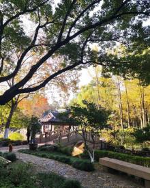 莲花庄10