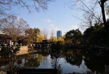 莲花庄20