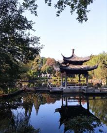 莲花庄12
