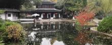 莲花庄6