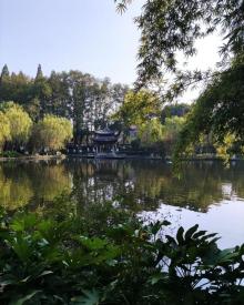 莲花庄13