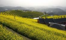 黑山顶1