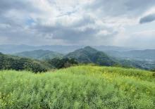 黑山顶3