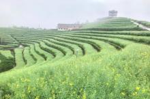 黑山顶6