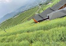 黑山顶5