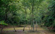 HAB小憩・林溪山谷露营地2
