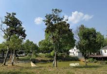 茶溪静享・团建营地7
