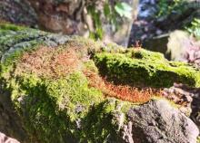 莫干山喜心帐篷露营地11