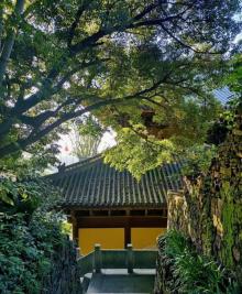 东明寺6