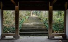 盖叫天墓4