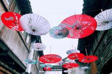 震泽古镇16