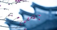 震泽古镇21