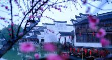 震泽古镇19