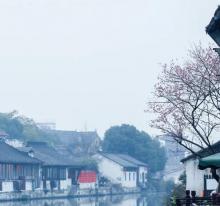震泽古镇20