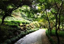天竺佛缘步行街5