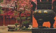 铁佛寺4