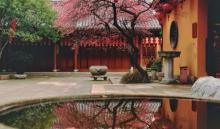 铁佛寺5
