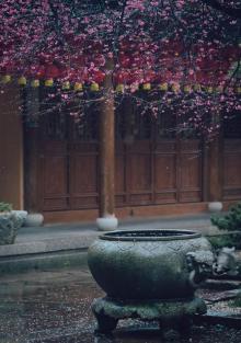 铁佛寺2