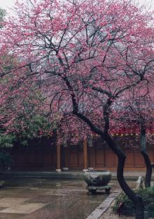 铁佛寺1