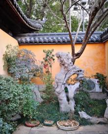 铁佛寺7