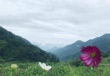 井空里7