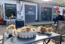 金顶飞行・莫干山滑翔伞中心1