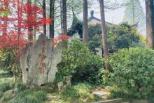 唐云艺术馆4