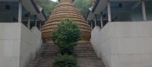万佛金塔地宫2