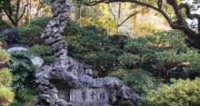 江南名石苑2