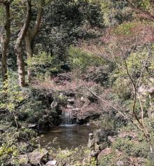 美人峰5