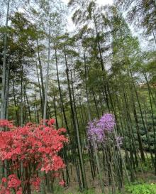 长兴城山沟景区13