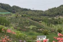 长兴城山沟景区9