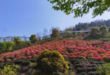 长兴城山沟景区8