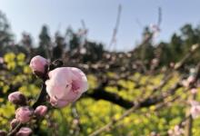 长兴城山沟景区26