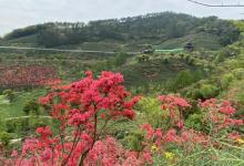 长兴城山沟景区10