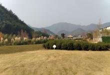 余村14