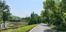 余村7