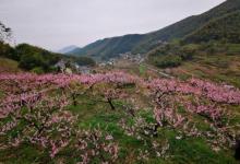 半山村4