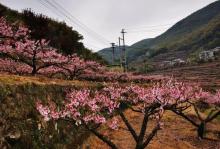半山村14