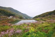 半山村11