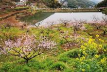 半山村13