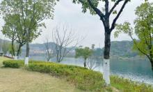 江滨公园1