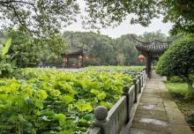 丝绸小镇荻港古村14