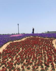 镜湖国家城市湿地公园8