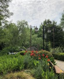 镜湖国家城市湿地公园11