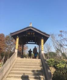 镜湖国家城市湿地公园15