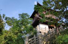 镜湖国家城市湿地公园14